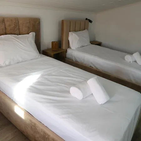 Alizee * ティラナ